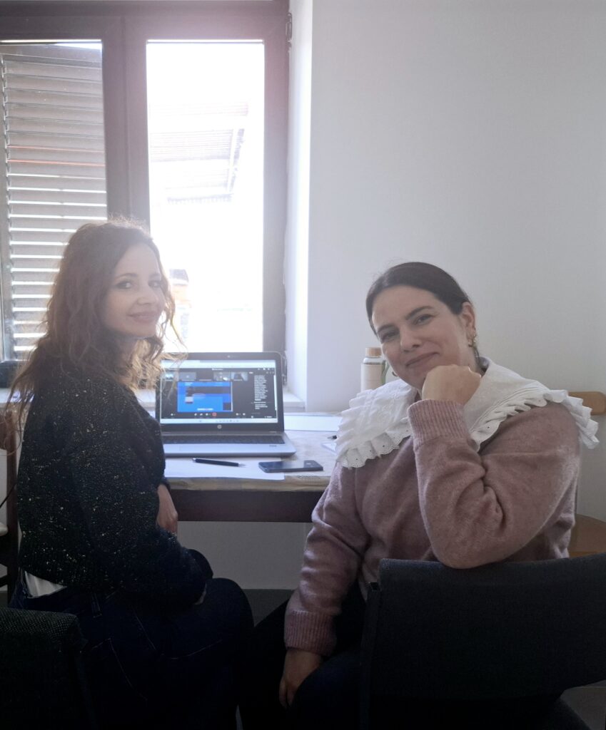 Provedbena radionica